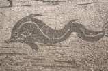 01772 ostia - regio ii - insula vii - piazzale delle corporazioni (ii,vii,4) - station 11 - navicvlari mv[s]lv[vit]a[ni] hic - delphin re - e.jpg